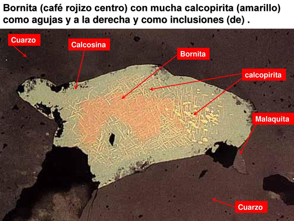 Bornita (café rojizo centro) con mucha calcopirita (amarillo) como agujas y a la derecha y como inclusiones (de) .
