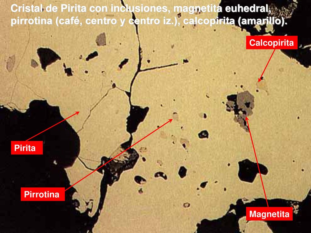 Cristal de Pirita con inclusiones, magnetita euhedral, pirrotina (café, centro y centro iz.), calcopirita (amarillo).