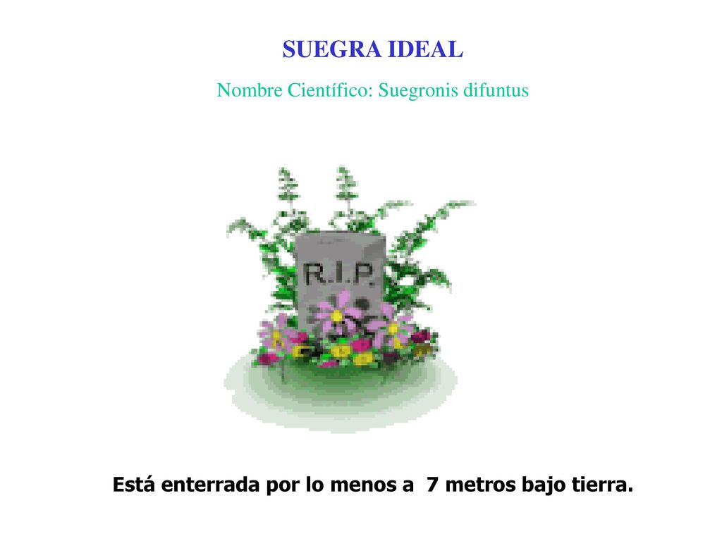 Está enterrada por lo menos a 7 metros bajo tierra.