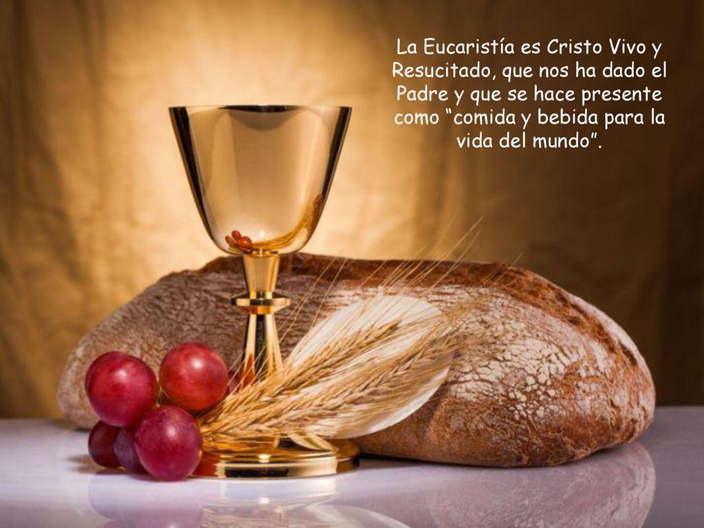 La Eucaristía es Cristo Vivo y Resucitado, que nos ha dado el Padre y que se hace presente como comida y bebida para la vida del mundo .