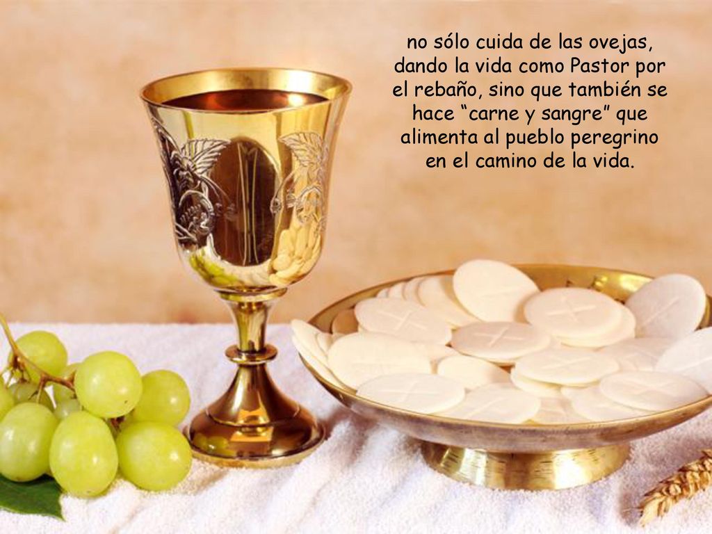 no sólo cuida de las ovejas, dando la vida como Pastor por el rebaño, sino que también se hace carne y sangre que alimenta al pueblo peregrino en el camino de la vida.
