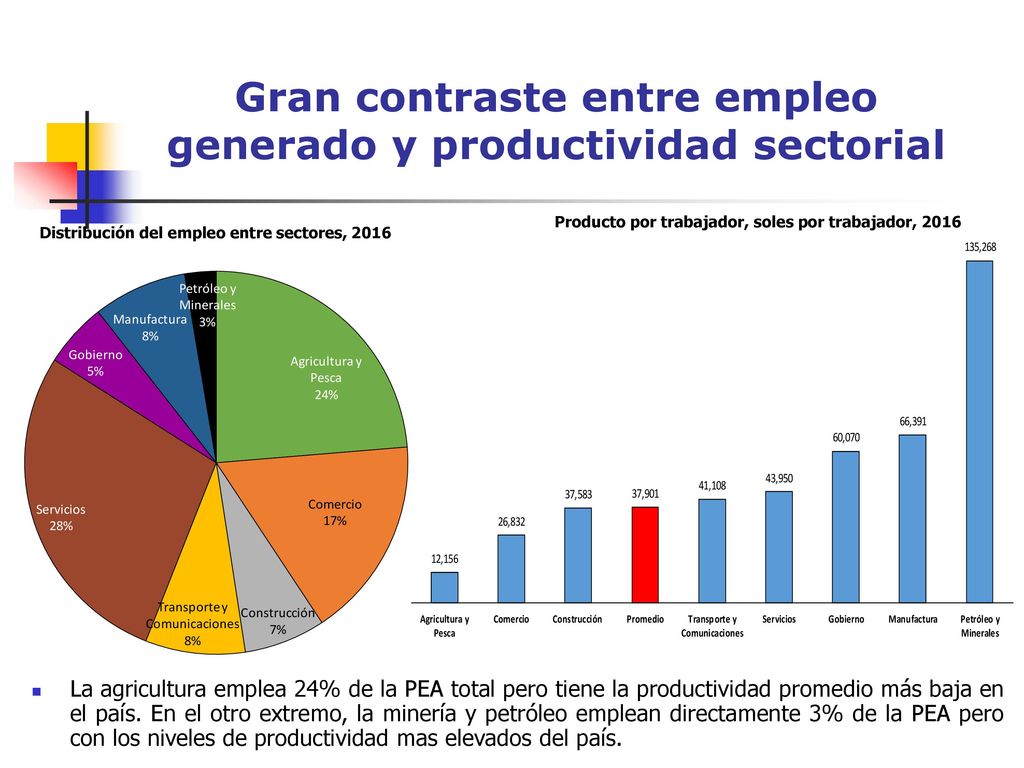 Gran contraste entre empleo generado y productividad sectorial