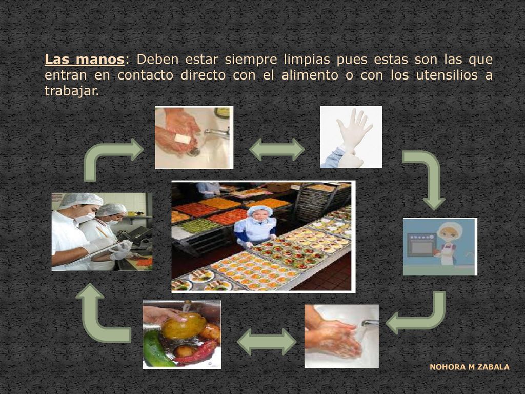 Las manos: Deben estar siempre limpias pues estas son las que entran en contacto directo con el alimento o con los utensilios a trabajar.