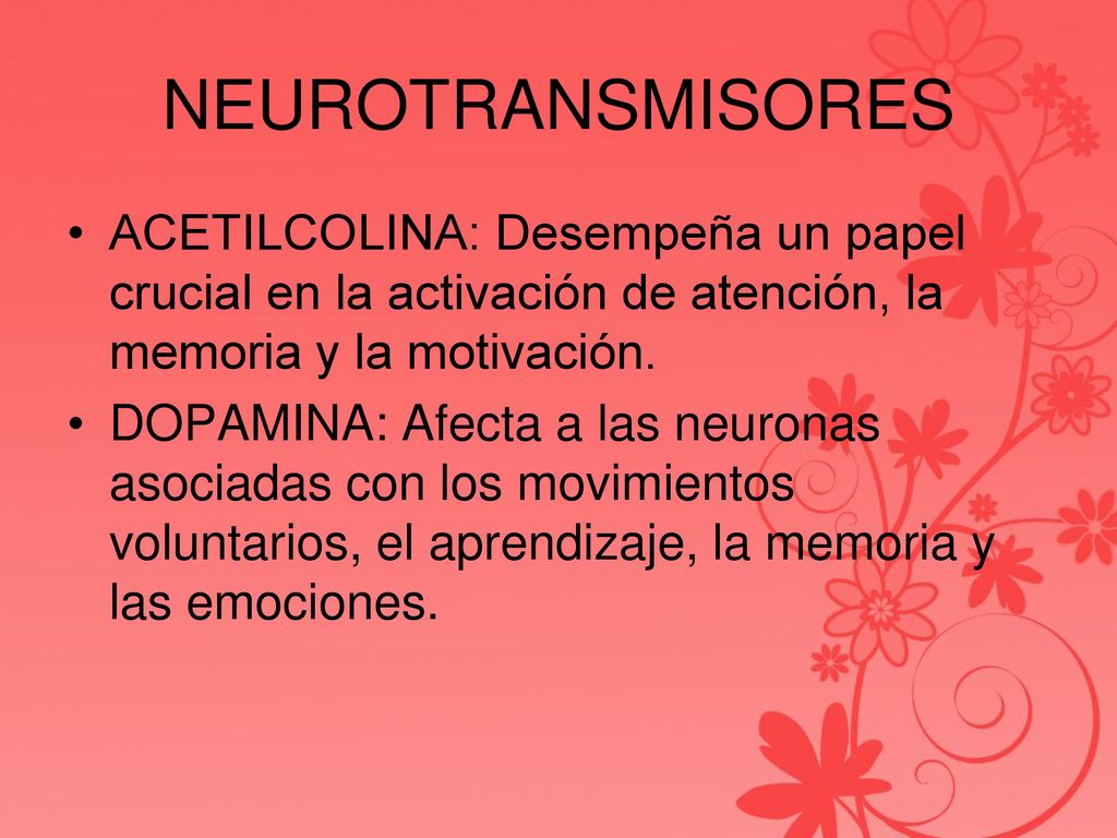 NEUROTRANSMISORES ACETILCOLINA: Desempeña un papel crucial en la activación de atención, la memoria y la motivación.