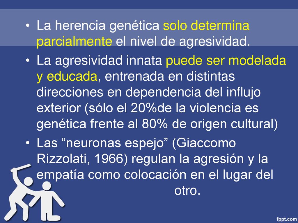 La herencia genética solo determina parcialmente el nivel de agresividad.