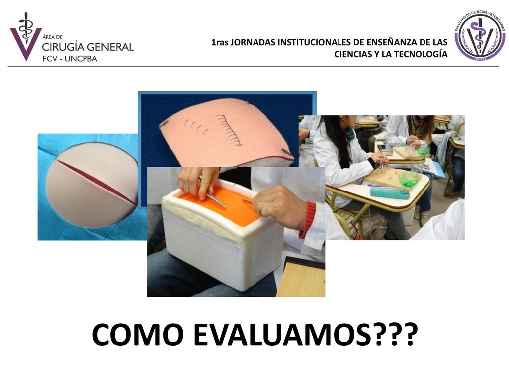 1ras JORNADAS INSTITUCIONALES DE ENSEÑANZA DE LAS CIENCIAS Y LA TECNOLOGÍA