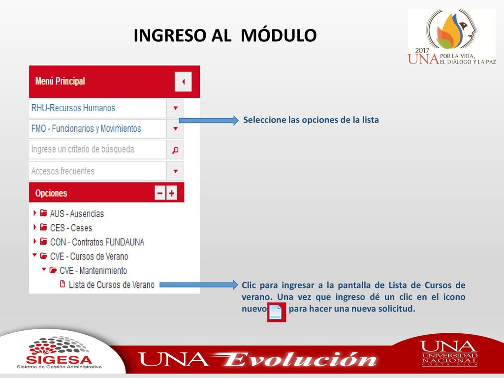 INGRESO AL MÓDULO Seleccione las opciones de la lista
