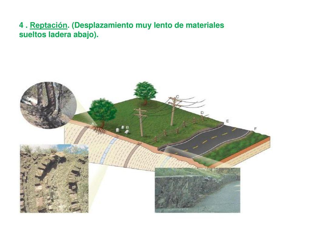 4 . Reptación. (Desplazamiento muy lento de materiales sueltos ladera abajo).