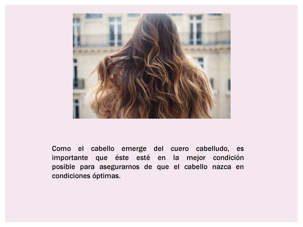 Como el cabello emerge del cuero cabelludo, es importante que éste esté en la mejor condición posible para asegurarnos de que el cabello nazca en condiciones óptimas.