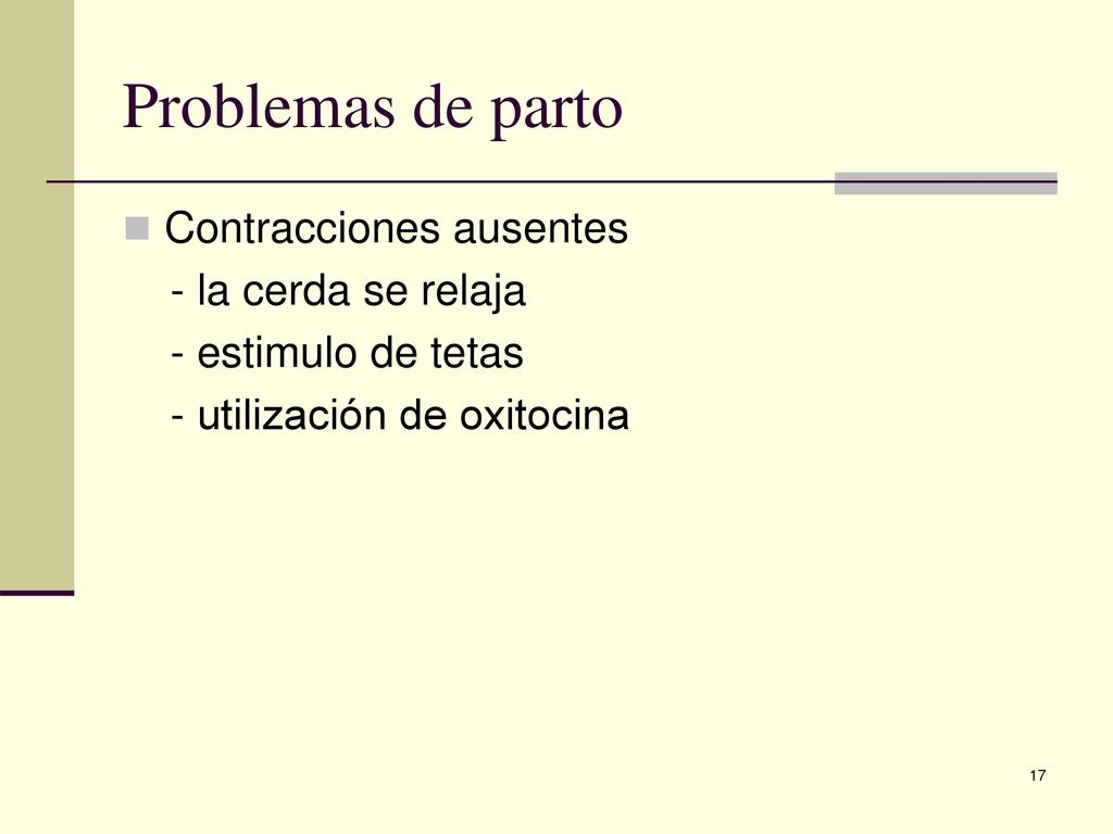 Problemas de parto Contracciones ausentes - la cerda se relaja
