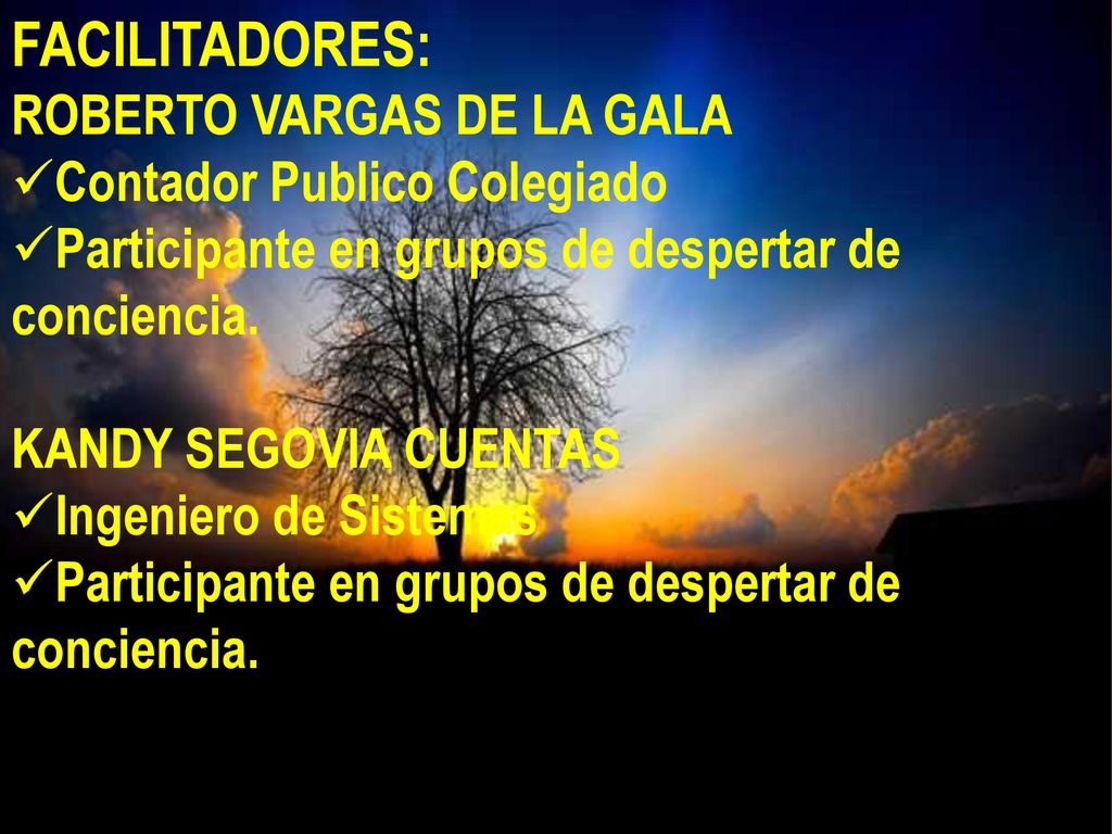 FACILITADORES: ROBERTO VARGAS DE LA GALA Contador Publico Colegiado