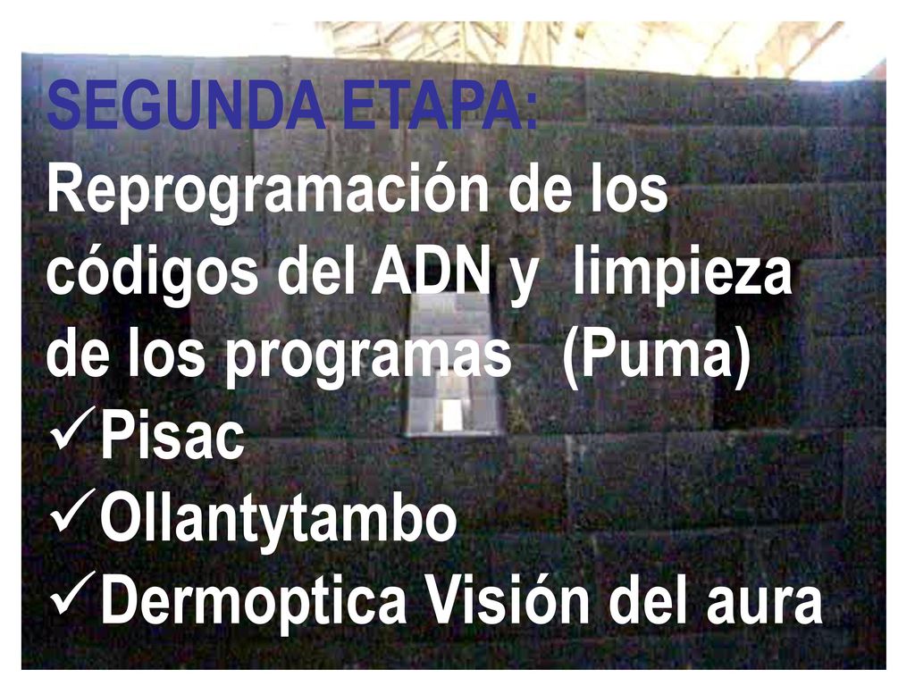 SEGUNDA ETAPA: Reprogramación de los códigos del ADN y limpieza de los programas (Puma)