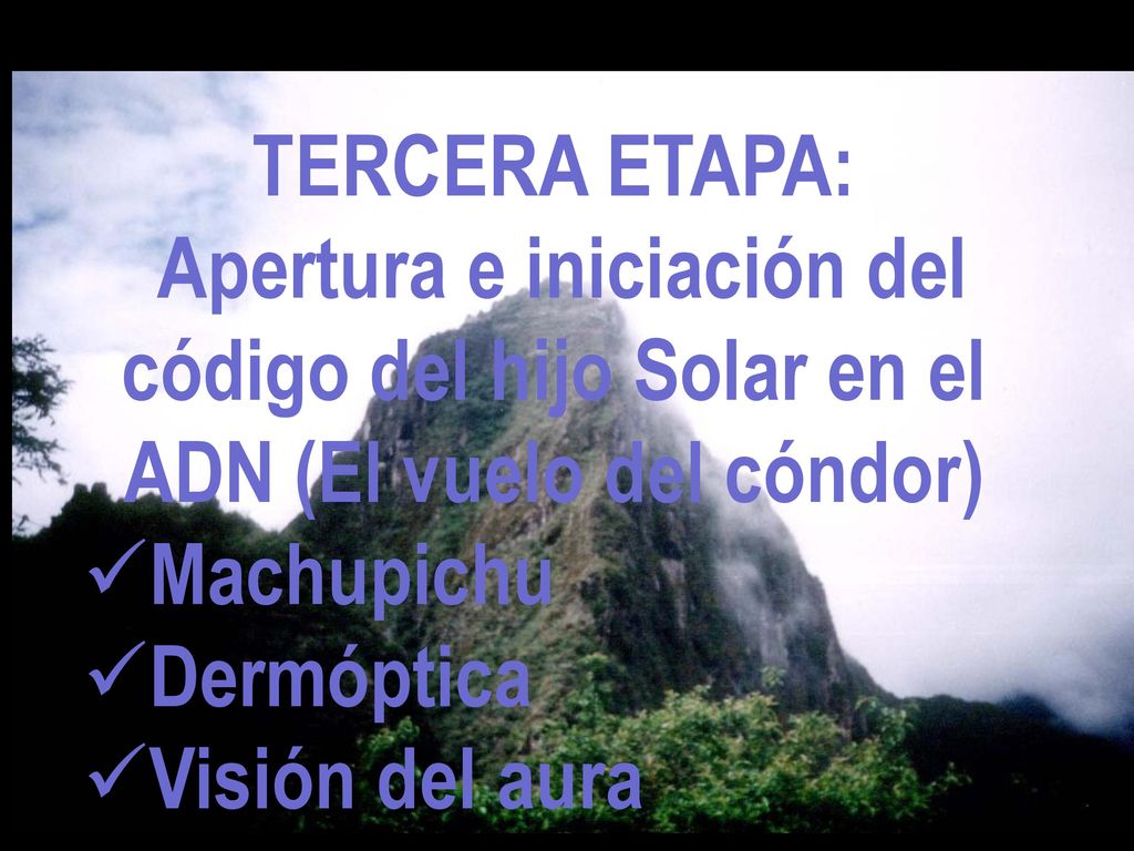 TERCERA ETAPA: Apertura e iniciación del código del hijo Solar en el ADN (El vuelo del cóndor) Machupichu.