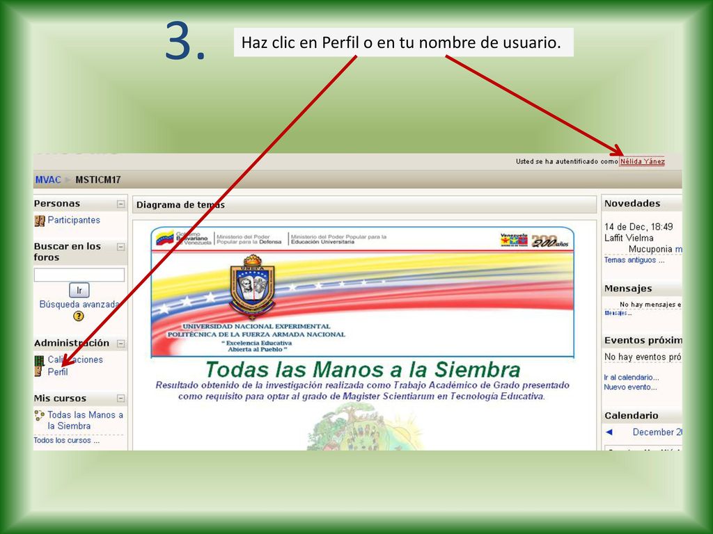 3. Haz clic en Perfil o en tu nombre de usuario.