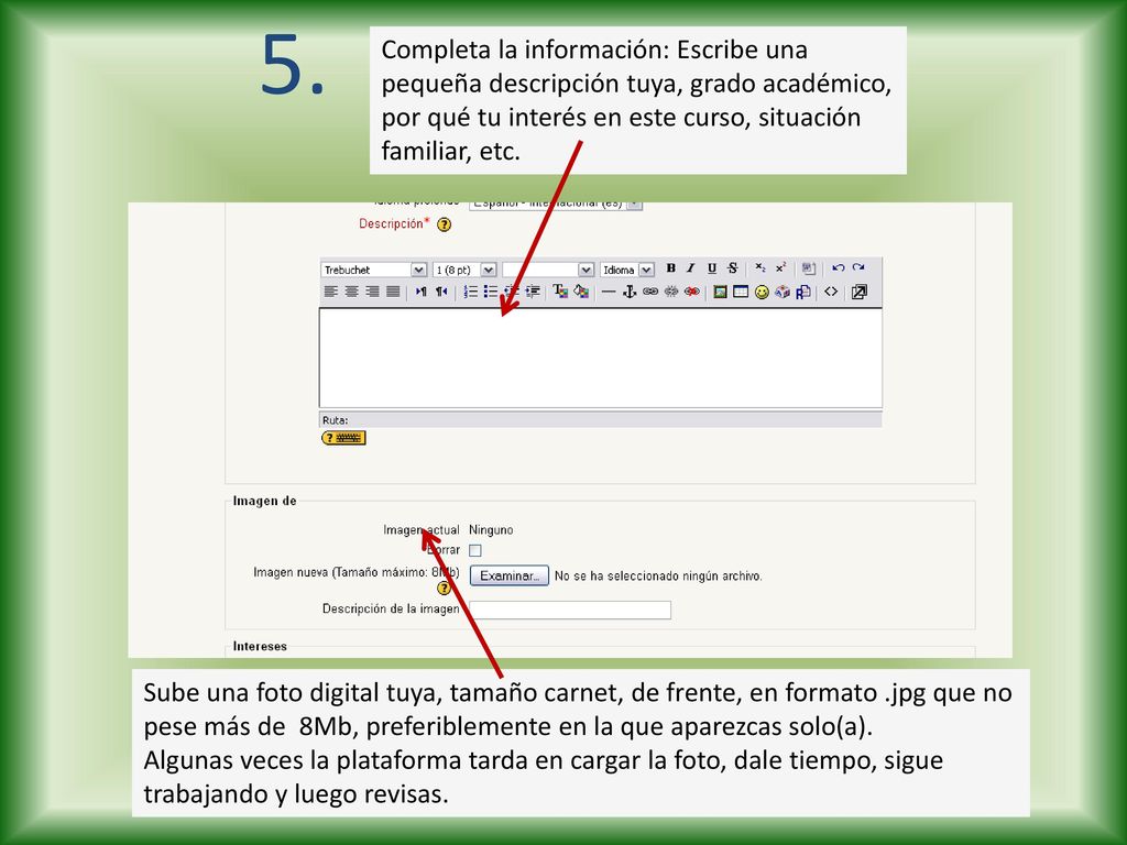 5. Completa la información: Escribe una pequeña descripción tuya, grado académico, por qué tu interés en este curso, situación familiar, etc.