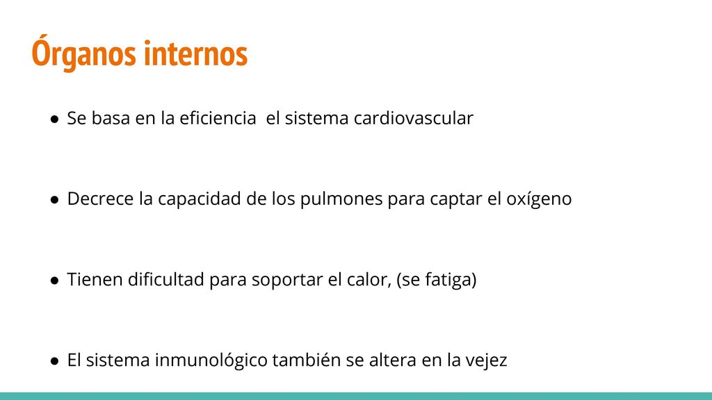 Órganos internos Se basa en la eficiencia el sistema cardiovascular