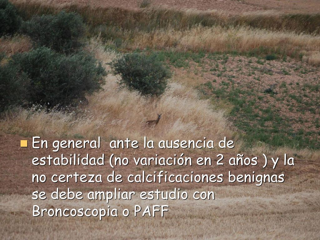 En general ante la ausencia de estabilidad (no variación en 2 años ) y la no certeza de calcificaciones benignas se debe ampliar estudio con Broncoscopia o PAFF
