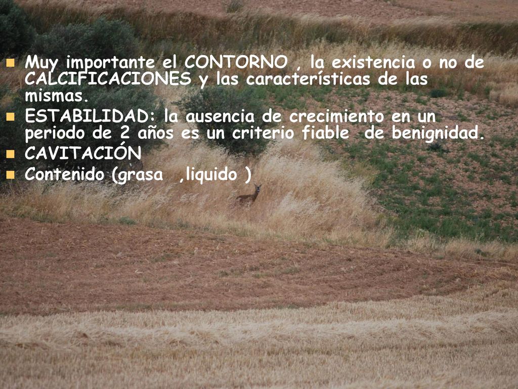 Muy importante el CONTORNO , la existencia o no de CALCIFICACIONES y las características de las mismas.