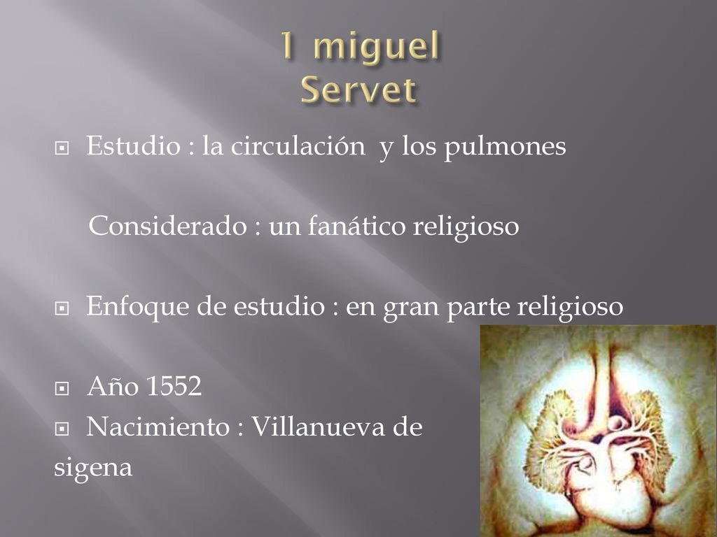 1 miguel Servet Estudio : la circulación y los pulmones