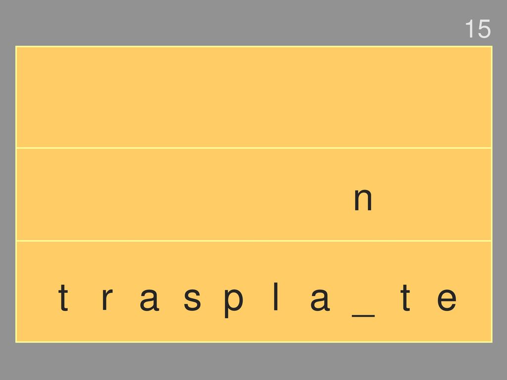15 n t r a s p l a _ t e