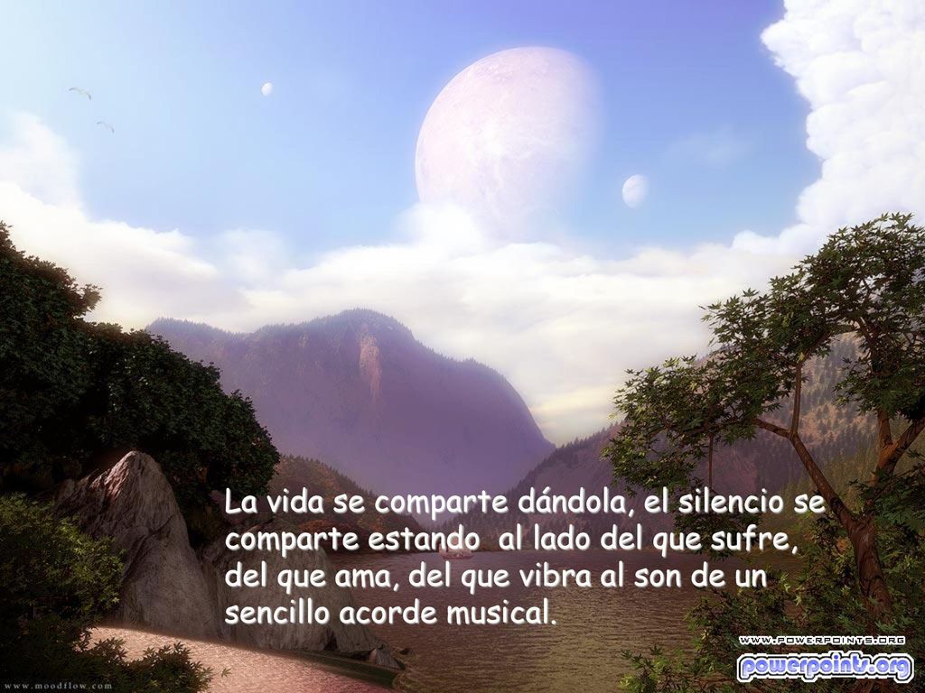 La vida se comparte dándola, el silencio se comparte estando al lado del que sufre, del que ama, del que vibra al son de un sencillo acorde musical.