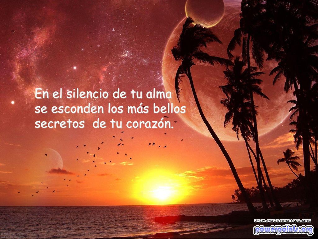 En el silencio de tu alma se esconden los más bellos secretos de tu corazón.