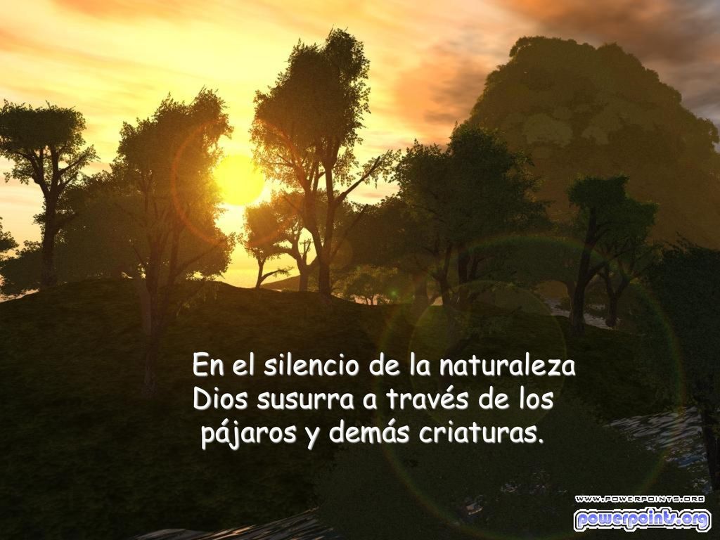 En el silencio de la naturaleza Dios susurra a través de los