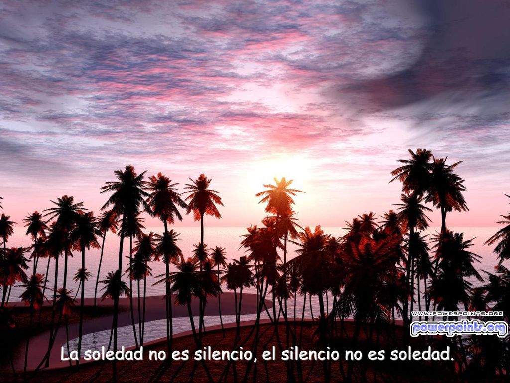 La soledad no es silencio, el silencio no es soledad.