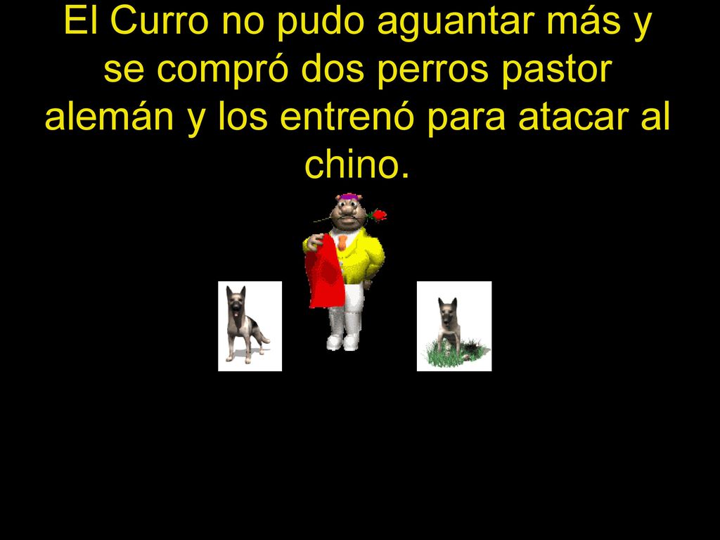 El Curro no pudo aguantar más y se compró dos perros pastor alemán y los entrenó para atacar al chino.