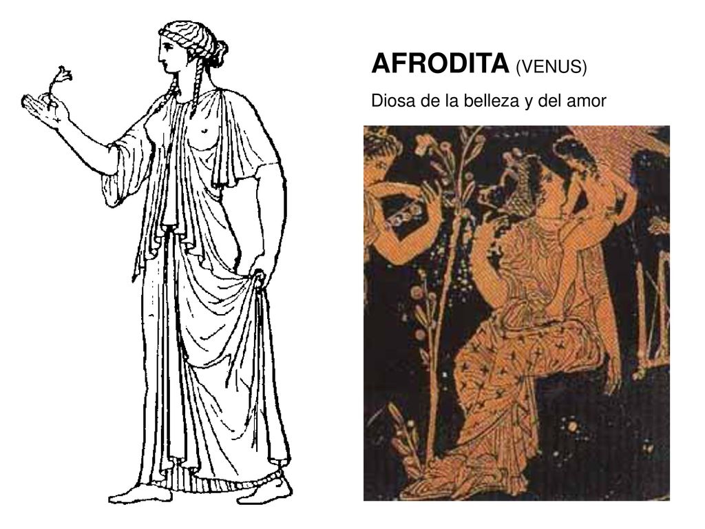 AFRODITA (VENUS) Diosa de la belleza y del amor