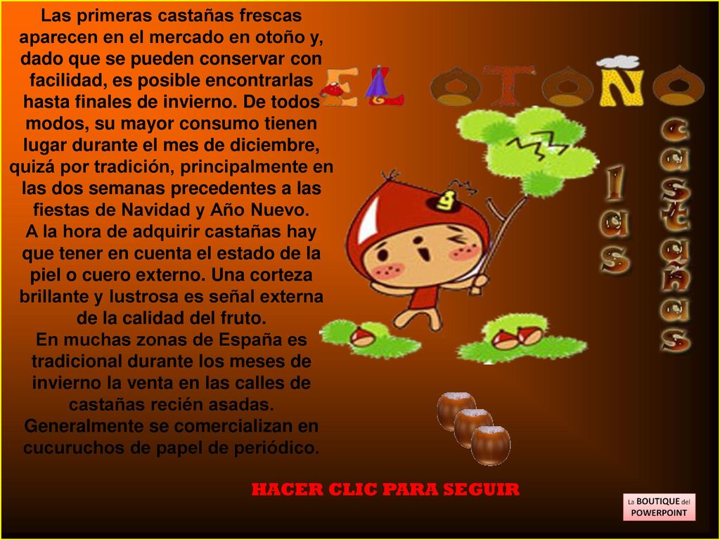 Las primeras castañas frescas aparecen en el mercado en otoño y, dado que se pueden conservar con facilidad, es posible encontrarlas hasta finales de invierno. De todos modos, su mayor consumo tienen lugar durante el mes de diciembre, quizá por tradición, principalmente en las dos semanas precedentes a las fiestas de Navidad y Año Nuevo.