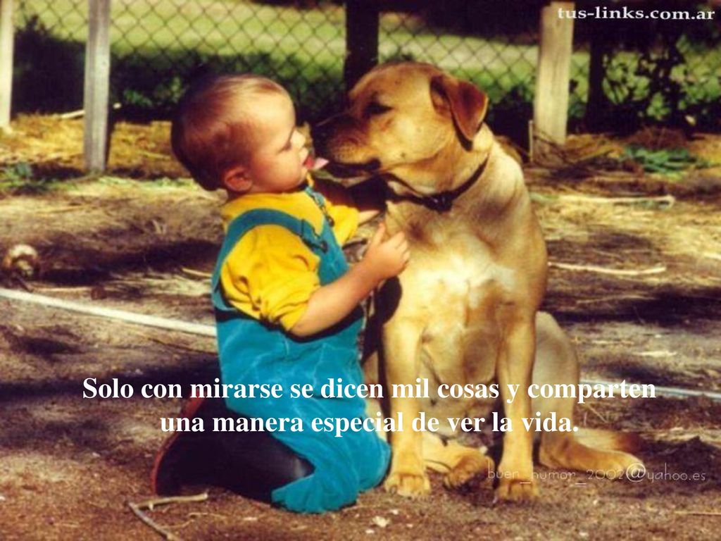 Solo con mirarse se dicen mil cosas y comparten una manera especial de ver la vida.