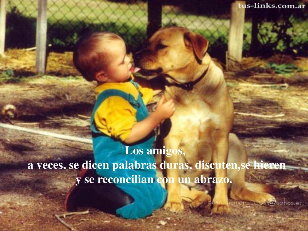 Los amigos, a veces, se dicen palabras duras, discuten,se hieren y se reconcilian con un abrazo.
