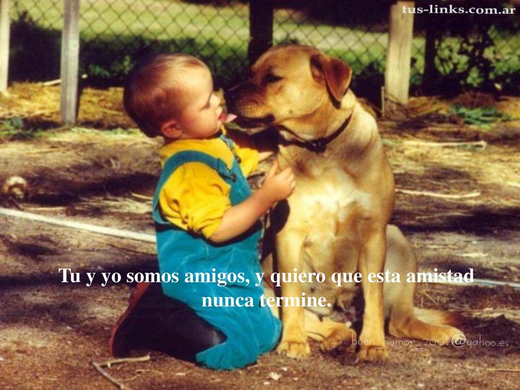 Tu y yo somos amigos, y quiero que esta amistad nunca termine.