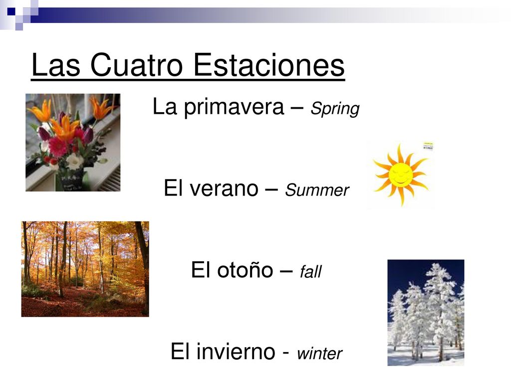 Las Cuatro Estaciones La primavera – Spring El verano – Summer