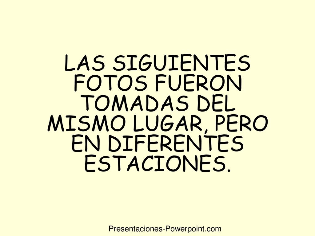 LAS SIGUIENTES FOTOS FUERON TOMADAS DEL MISMO LUGAR, PERO EN DIFERENTES ESTACIONES.