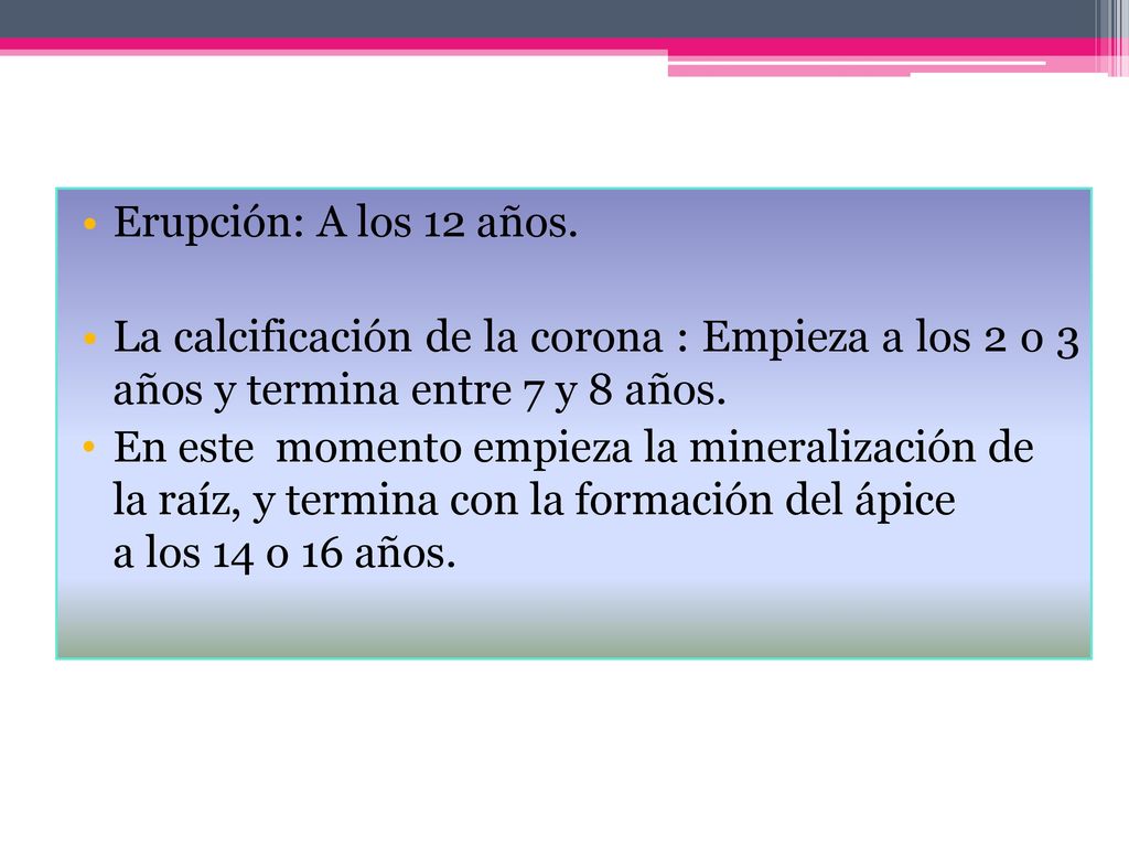 Erupción: A los 12 años. La calcificación de la corona : Empieza a los 2 o 3 años y termina entre 7 y 8 años.