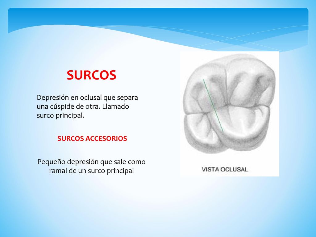Pequeño depresión que sale como ramal de un surco principal