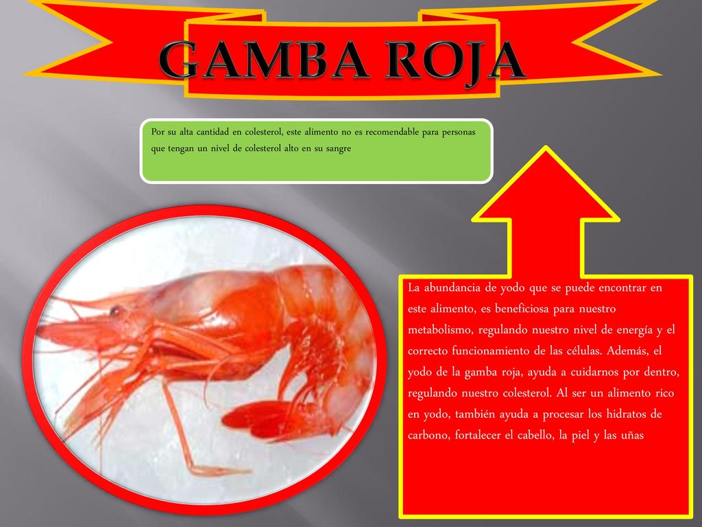 GAMBA ROJA Por su alta cantidad en colesterol, este alimento no es recomendable para personas que tengan un nivel de colesterol alto en su sangre.