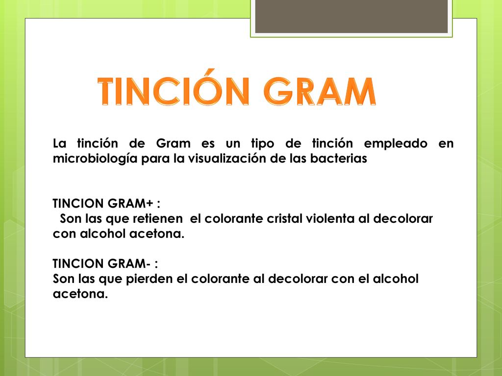 TINCIÓN GRAM La tinción de Gram es un tipo de tinción empleado en microbiología para la visualización de las bacterias.