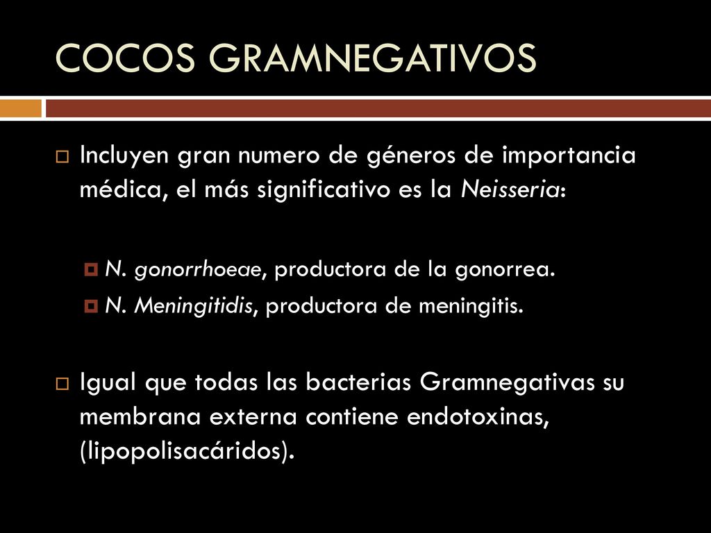 COCOS GRAMNEGATIVOS Incluyen gran numero de géneros de importancia médica, el más significativo es la Neisseria: