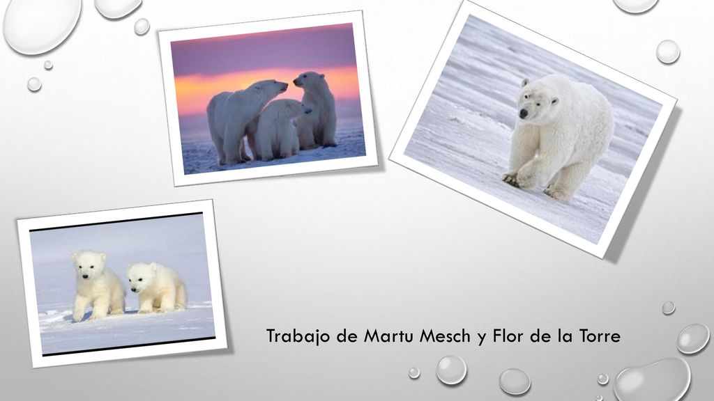 Trabajo de Martu Mesch y Flor de la Torre