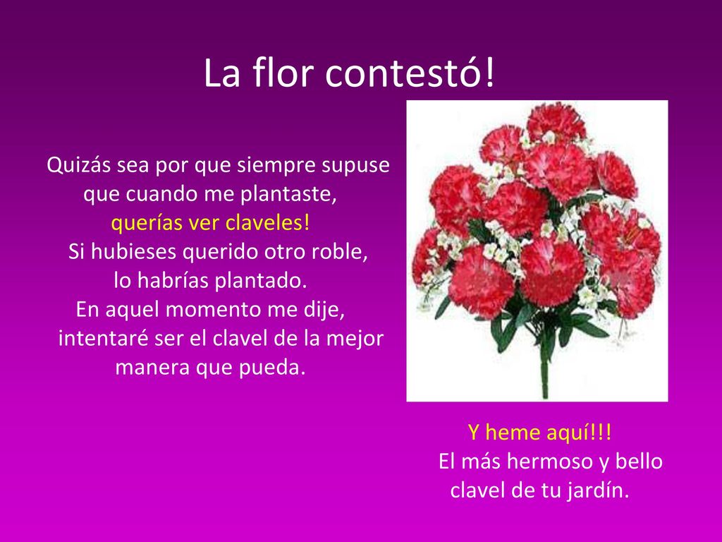 La flor contestó! Quizás sea por que siempre supuse que cuando me plantaste, querías ver claveles!