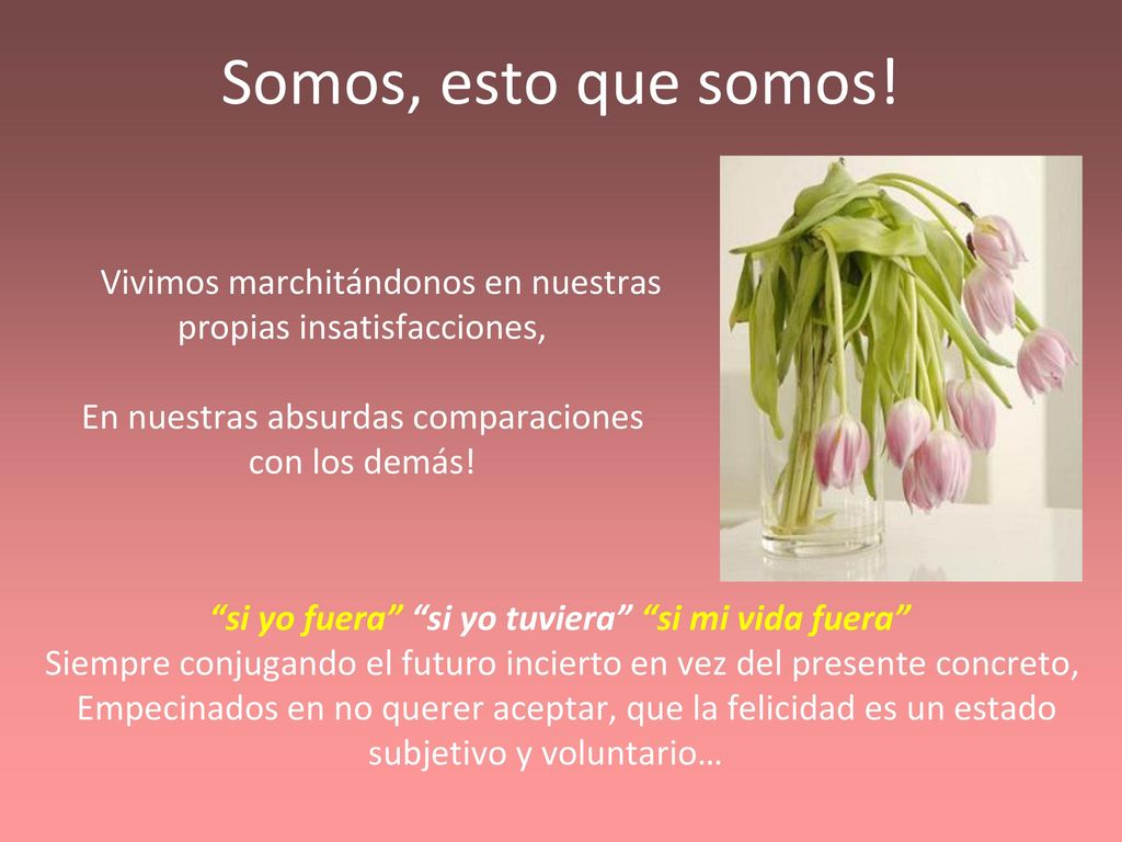 Somos, esto que somos! Vivimos marchitándonos en nuestras propias insatisfacciones, En nuestras absurdas comparaciones con los demás!