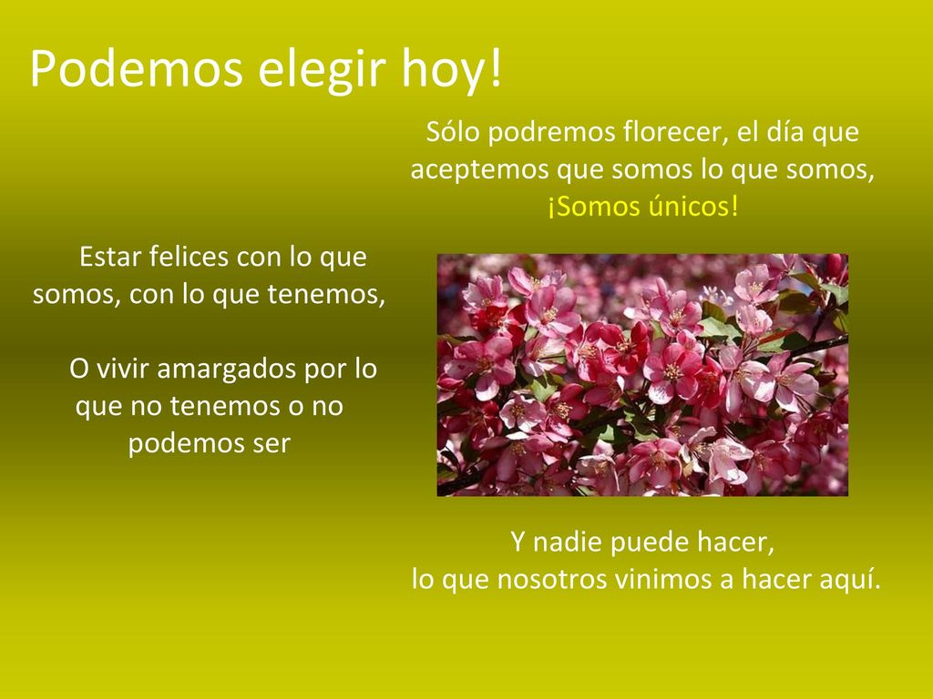 Podemos elegir hoy! Sólo podremos florecer, el día que aceptemos que somos lo que somos, ¡Somos únicos!