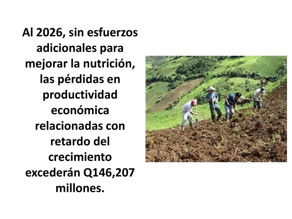 Al 2026, sin esfuerzos adicionales para mejorar la nutrición, las pérdidas en productividad económica relacionadas con retardo del crecimiento excederán Q146,207 millones.