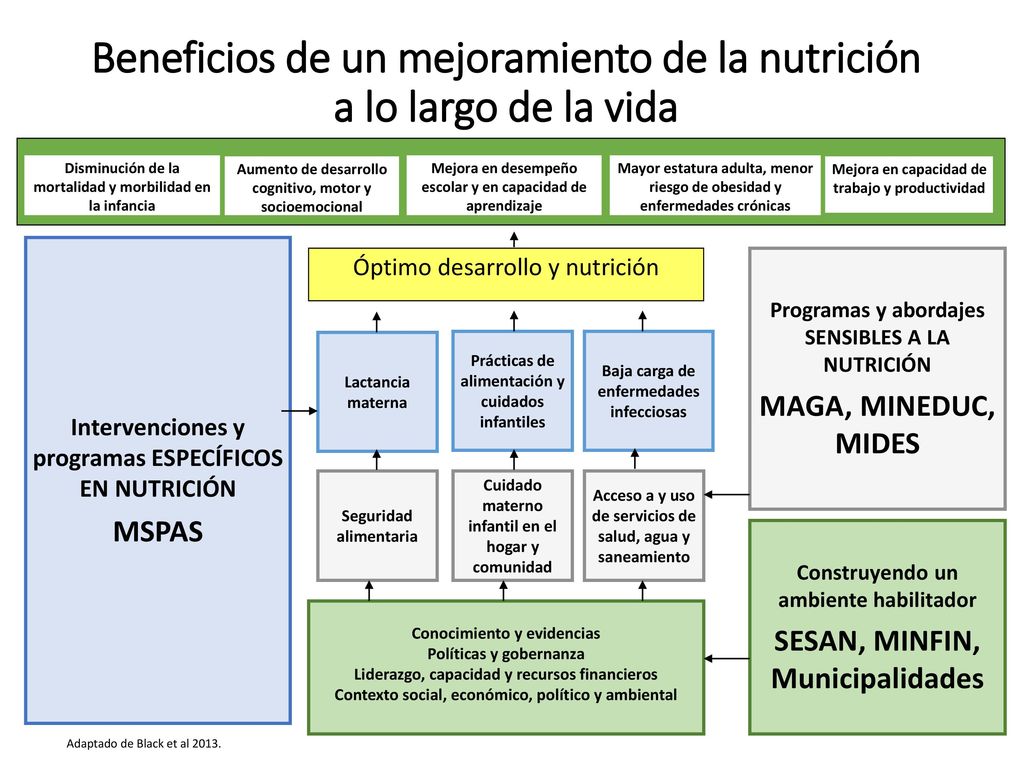 Beneficios de un mejoramiento de la nutrición a lo largo de la vida