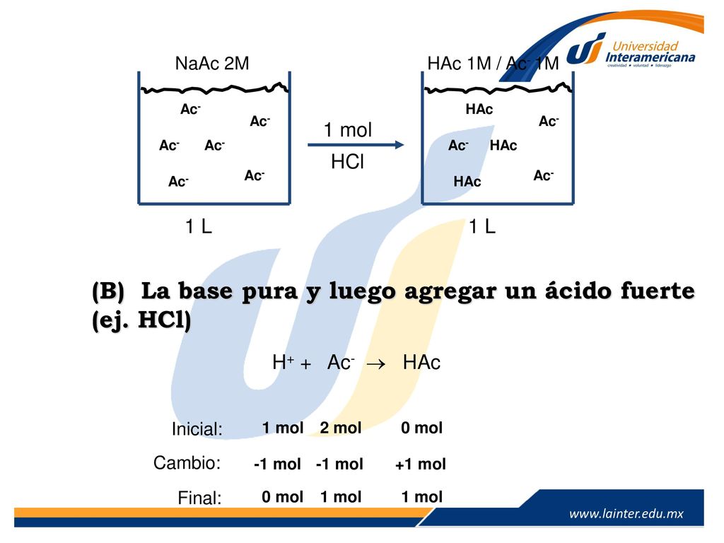 (B) La base pura y luego agregar un ácido fuerte (ej. HCl)
