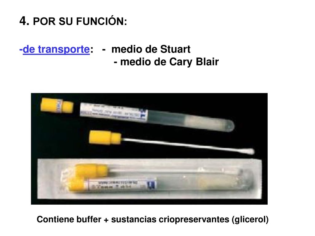 4. POR SU FUNCIÓN: -de transporte: - medio de Stuart
