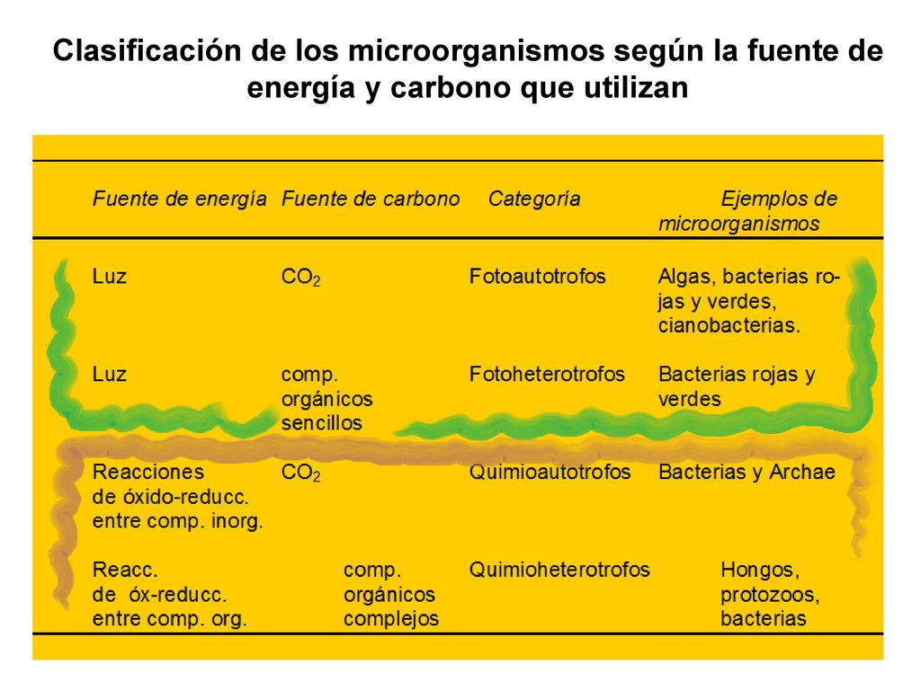 Clasificación de los microorganismos según la fuente de energía y carbono que utilizan
